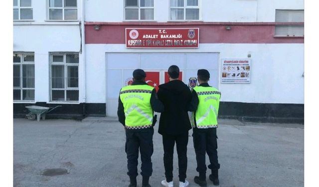 Göçmen kaçakçılığı operasyonu: 1 kişi tutuklandı
