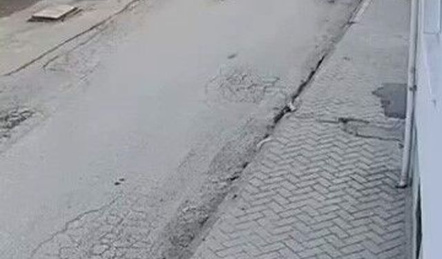 Bir anda koşup havlayan köpek küçük çocuğu korkuttu