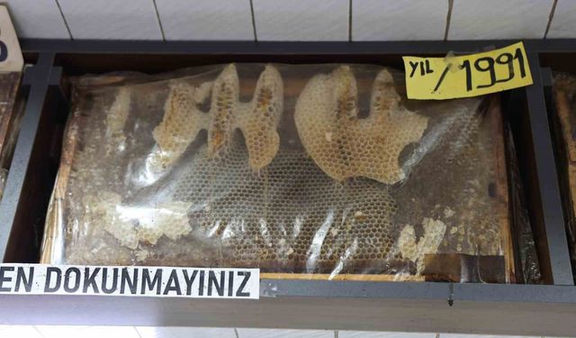 Görenler dönüp bir daha bakıyor, 35 yıllık bal çerçeveleri dikkat çekiyor