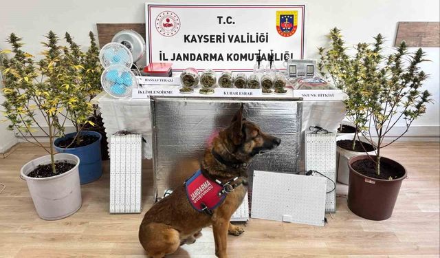 Uyuşturucu operasyonu