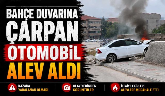 Bahçe duvarına çarpan otomobil alev aldı