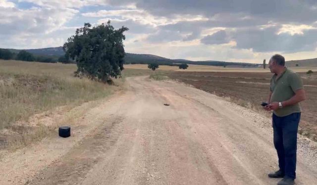 Kaybolan gebe inek dron ile aranıyor