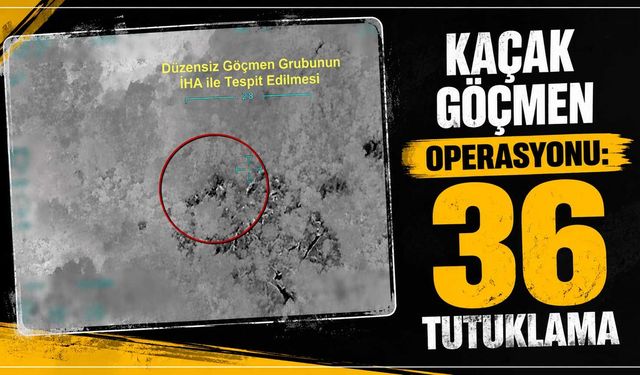 Kaçak göçmen operasyonu: 36 tutuklama