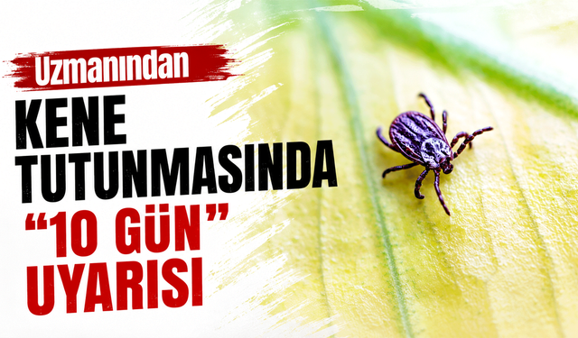 Uzmanından kene tutunmasında '10 gün' uyarısı