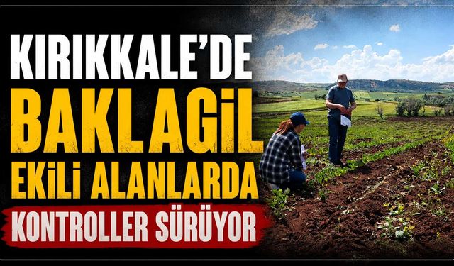 Kırıkkale’de baklagil ekili alanlarda kontroller sürüyor