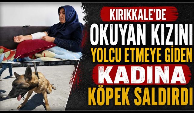Kırıkkale’de okuyan kızını yolcu etmeye giden kadına köpek saldırdı