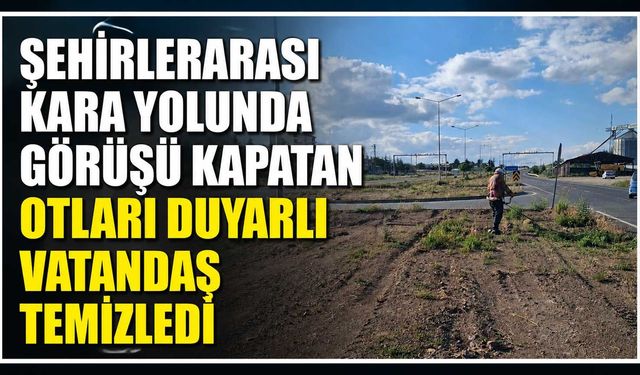 Şehirlerarası kara yolunda görüşü kapatan otları duyarlı vatandaş temizledi