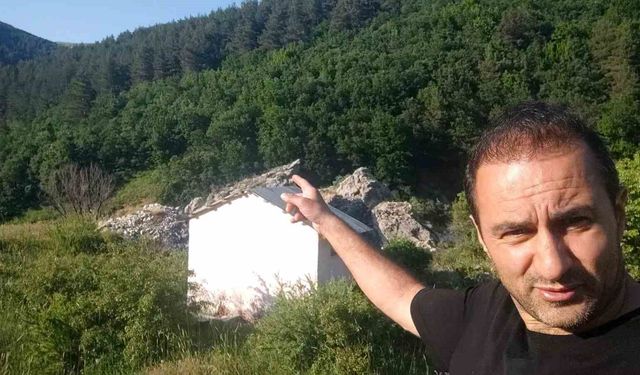 Anne ayı ve 3 yavrusu arazide görüntülendi