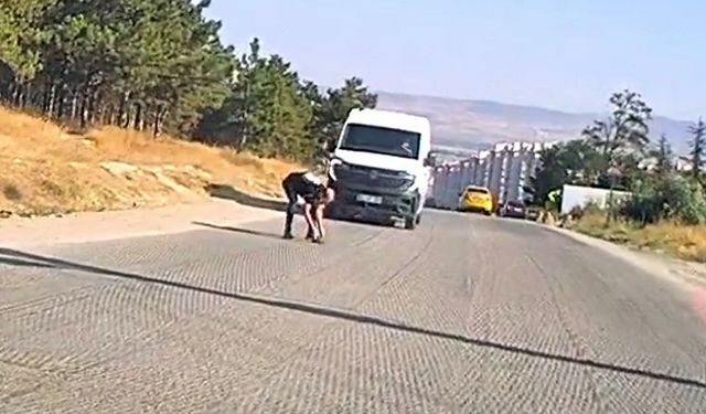 Bir yandan koştu, bir yandan diğer sürücüleri uyardı: Kaplumbağayı ezilmekten kurtardı