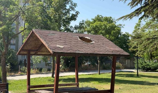 Eskişehir'de parktaki kamelyanın çatısında hasar meydana geldi