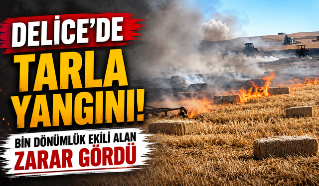 Delice’de tarla yangını! Bin dönümlük ekili alan zarar gördü