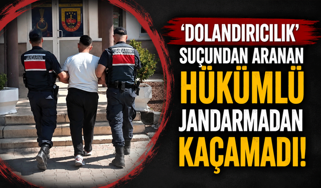 'Dolandırıcılık' suçundan aranan hükümlü jandarmadan kaçamadı