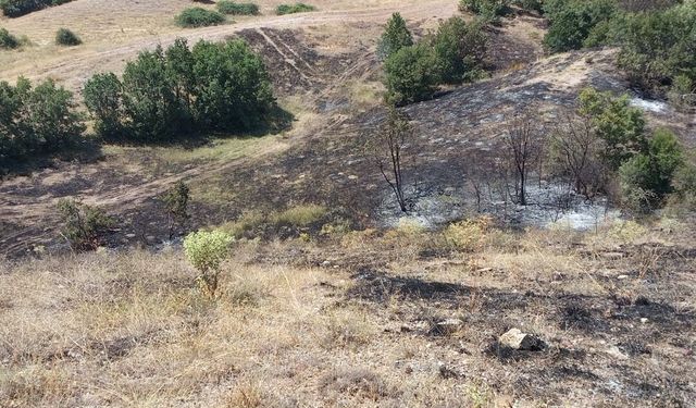 Anız yangınında yaklaşık 25 dönüm arazi küle döndü
