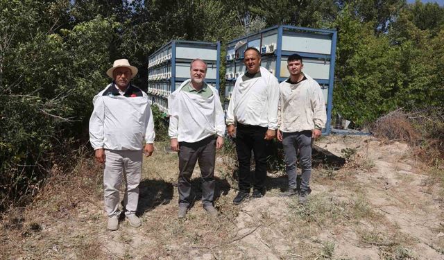 Arıcılıkta rekor: 3 tona yakın bal hasadı gerçekleştirildi