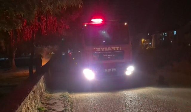 Bir parkta kasten çıkarılan yangın ekipleri teyakkuza geçirdi