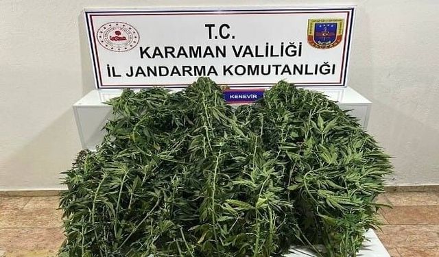 Jandarmanın yakaladığı 44 şahıstan 9'u tutuklandı