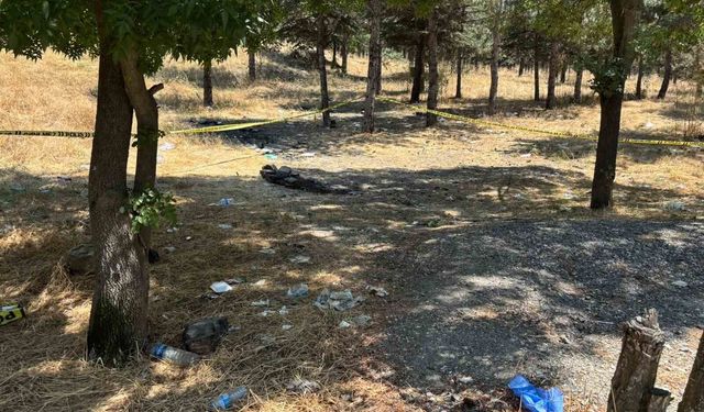 Kadın cinayetinin alacak-verecek meselesi nedeniyle işlendiği iddiası