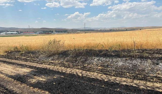 Yaklaşık 10 dönüm ekili arazi yandı