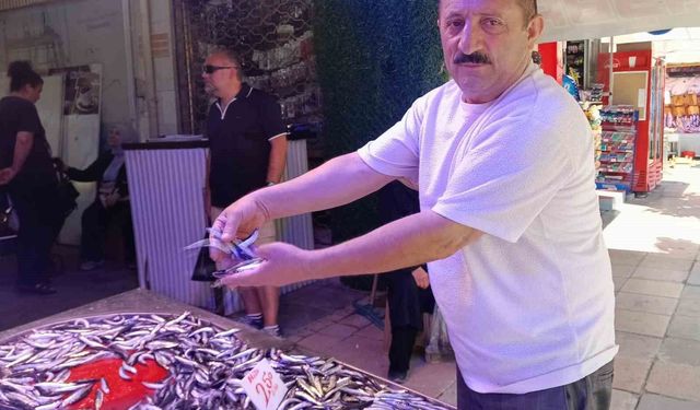 Balık sezonu ucuzlukla başladı