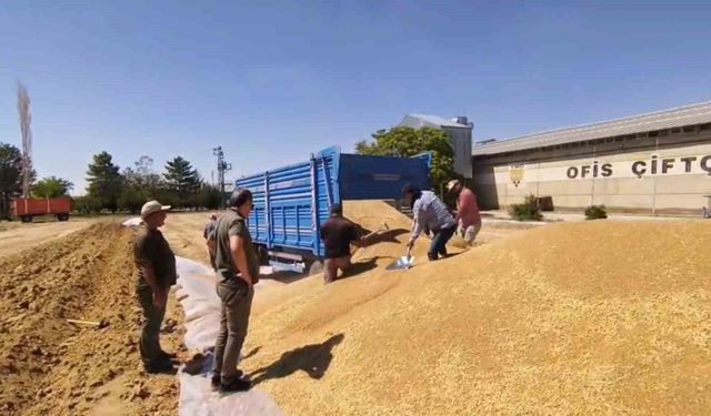 TMO'dan 2 milyon tona yakın hububat alımı