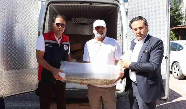 Yüzbinlerce yavru balık göl ve göletlere bırakıldı
