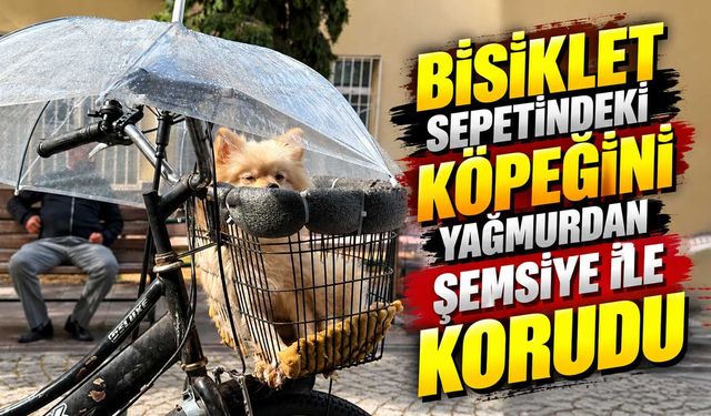 Bisiklet sepetindeki köpeğini yağmurdan şemsiye ile korudu