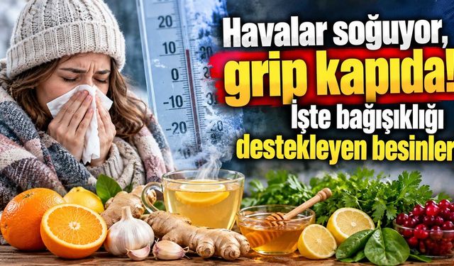 Havalar soğuyor, grip kapıda! İşte bağışıklığı destekleyen besinler