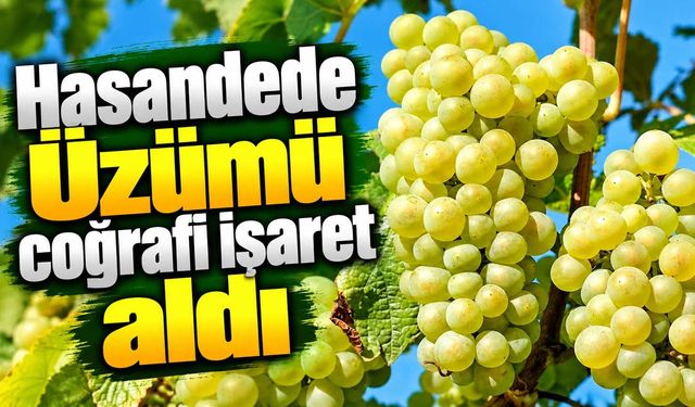 Hasandede Üzümü coğrafi işaret aldı