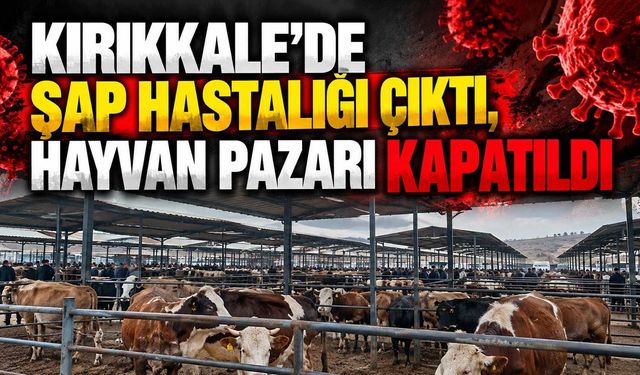 Kırıkkale'de şap hastalığı çıktı, hayvan pazarı kapatıldı
