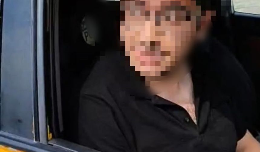 Yavru köpekleri öldürdüğü iddiasıyla gözaltına alınan şüpheli adliyeye sevk edildi