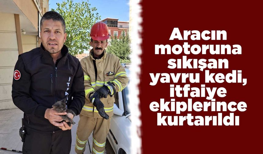 Aracın motoruna sıkışan yavru kedi, itfaiye ekiplerince kurtarıldı