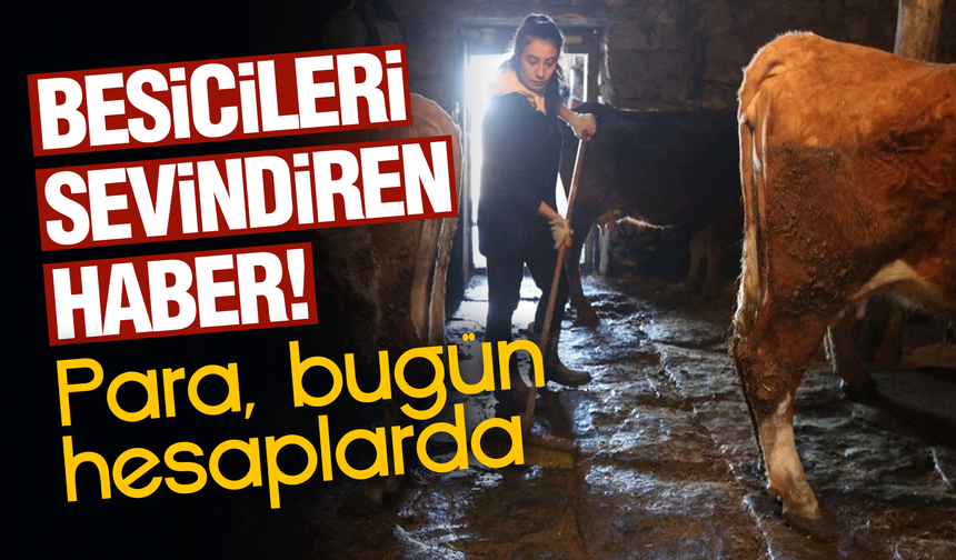Tarım ve Hayvancılığa 5,1 Milyar Liralık Destek Ödemesi Başladı
