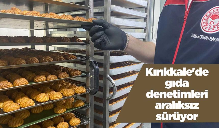 Kırıkkale'de gıda denetimleri aralıksız sürüyor