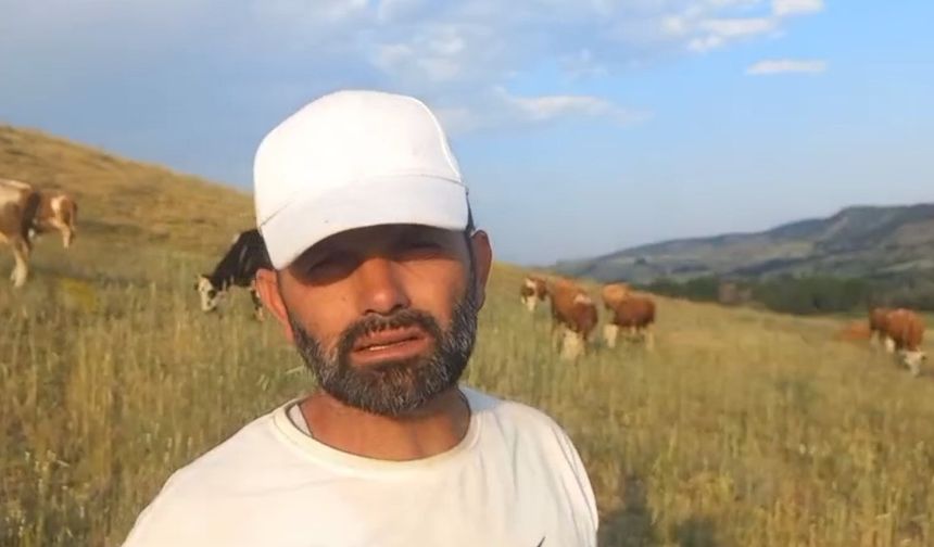 Keneler görülmeye devam ediyor