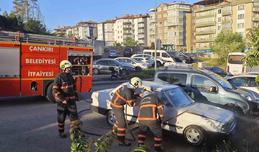 Otomobil alevlere teslim oldu