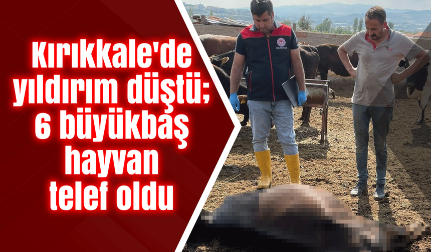 Kırıkkale'de yıldırım düştü; 6 büyükbaş hayvan telef oldu