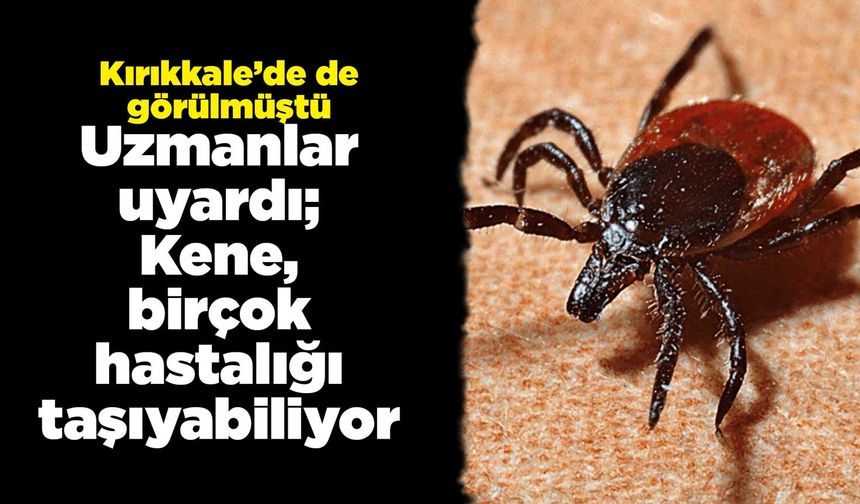 Uzmanlar uyardı; Kene, birçok hastalığı taşıyabiliyor