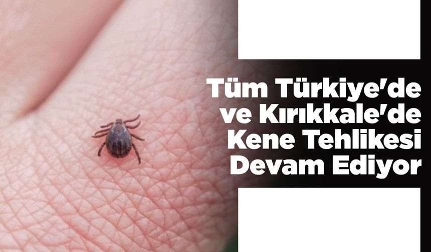 Tüm Türkiye'de ve Kırıkkale'de Kene Tehlikesi Devam Ediyor