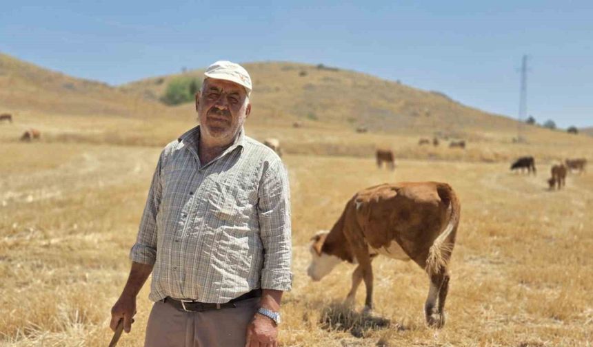 40 yıllık çoban sağlığını mesleğine borçlu olduğunu söyledi