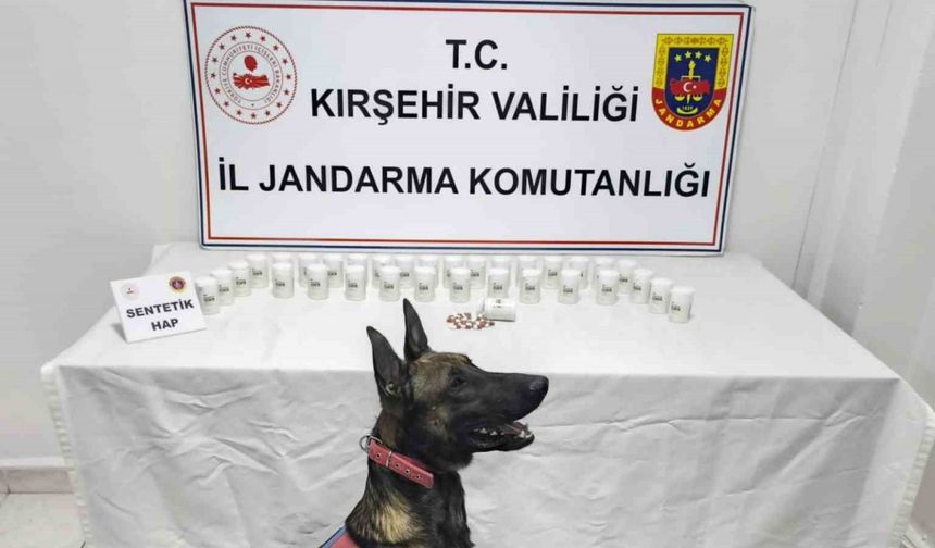 Bin 823 sentetik hap ele geçirildi: 2 gözaltı