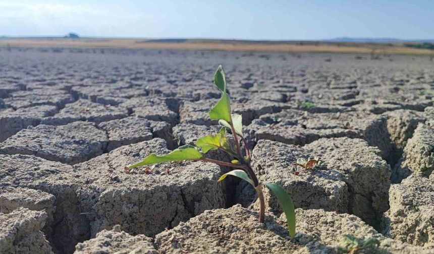 Gelingüllü Barajı’nda su çekildi, kuraklığın izleri ortaya çıktı