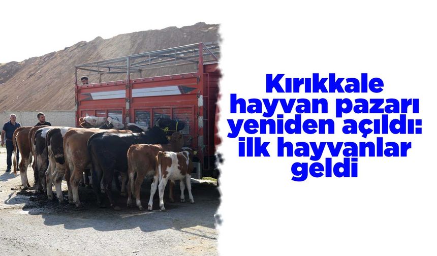 Kırıkkale hayvan pazarı yeniden açıldı: İlk hayvanlar geldi