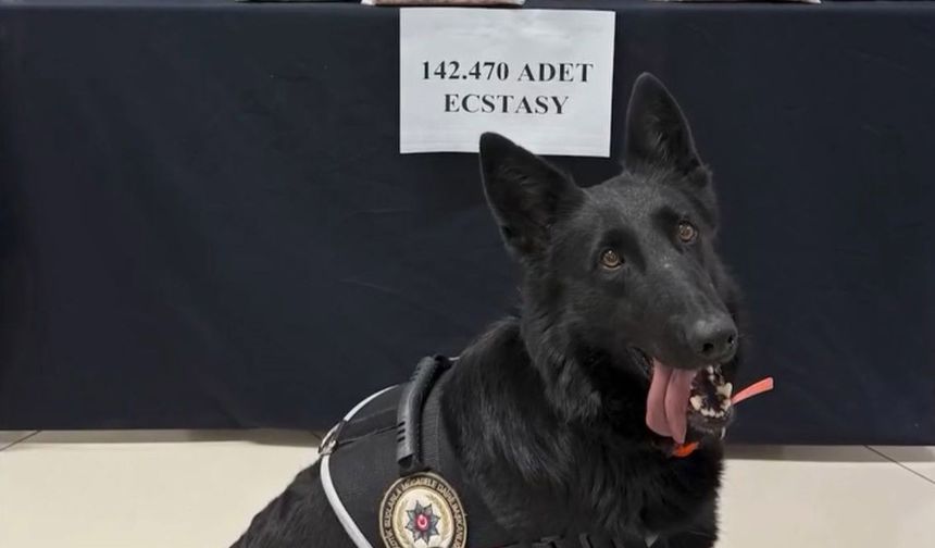 71 milyon liralık uyuşturucu hap ele geçirildi