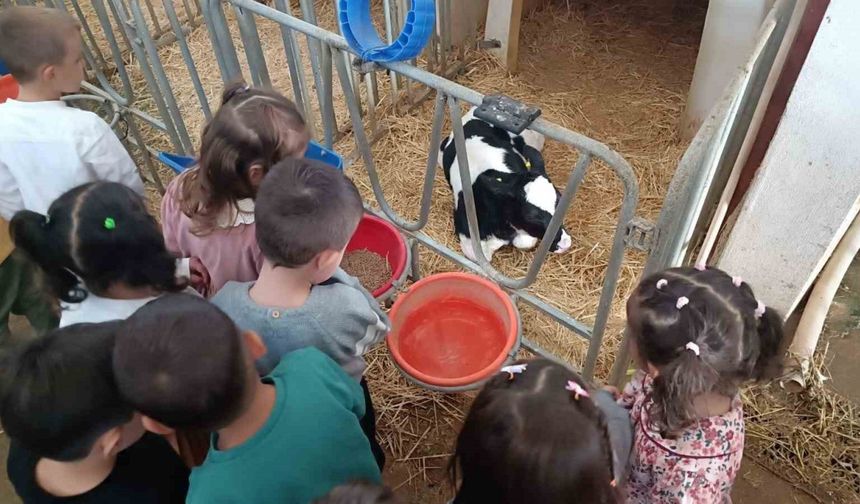 Minik öğrenciler tarımla buluştu