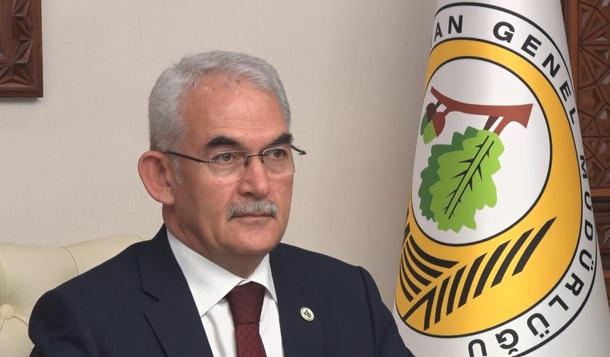 Orman yangınlarıyla mücadelede küresel strateji Türkiye’den çıkacak