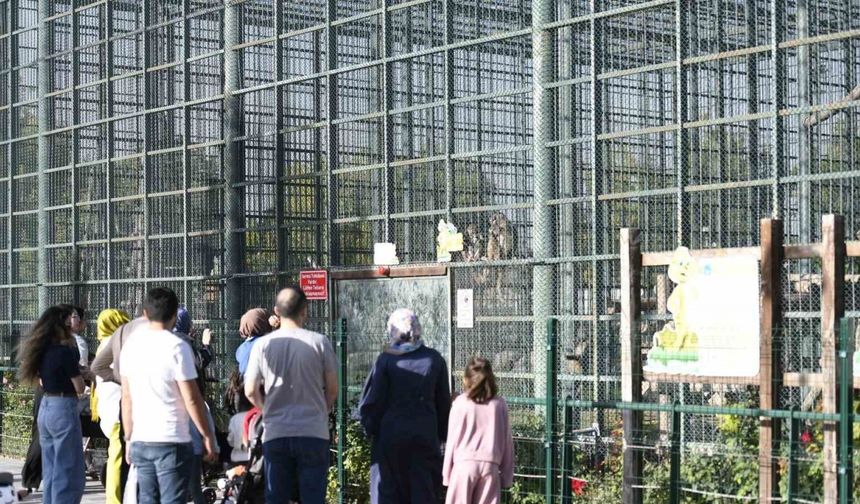 Ücretsiz olan hayvanat bahçesine ziyaretçi akını