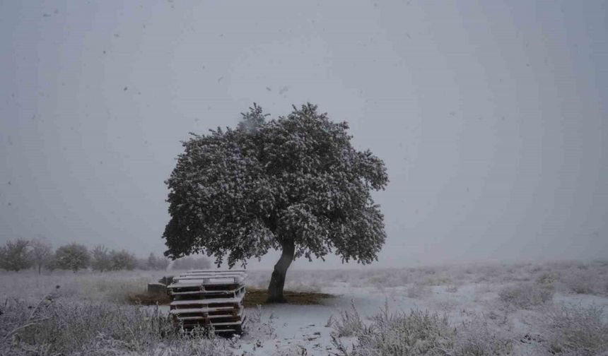 Yüksek kesimlere mevsimin ilk karı yağdı