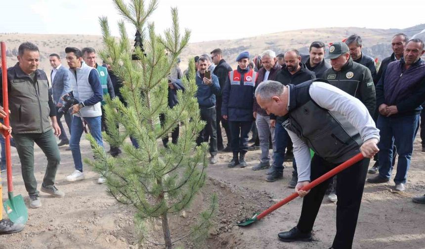 18 bin 500 fidan toprakla buluştu