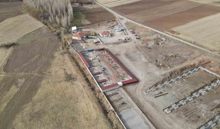 Başkan Metin’den sokak hayvanları için örnek hizmet