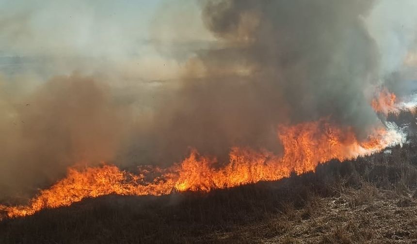 Sazlıklar alev alev yandı